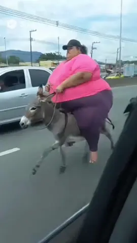 sextou vamos rir um pouco ? #jumento #cavalos #equinos 