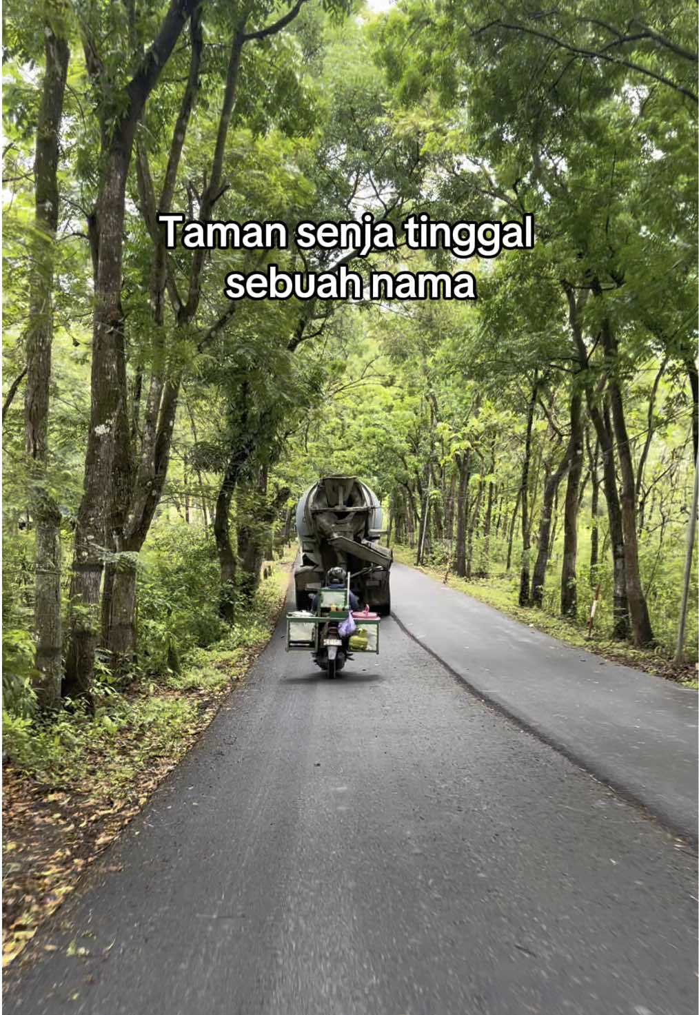 Punya kenangan apa dek?😭 #tamansenja #jalanjalan #tempatwisata #terbengkalai #pemalang #bodeh #fypシ゚ 