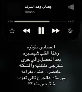 شترجى منه #عمار_مجبل 