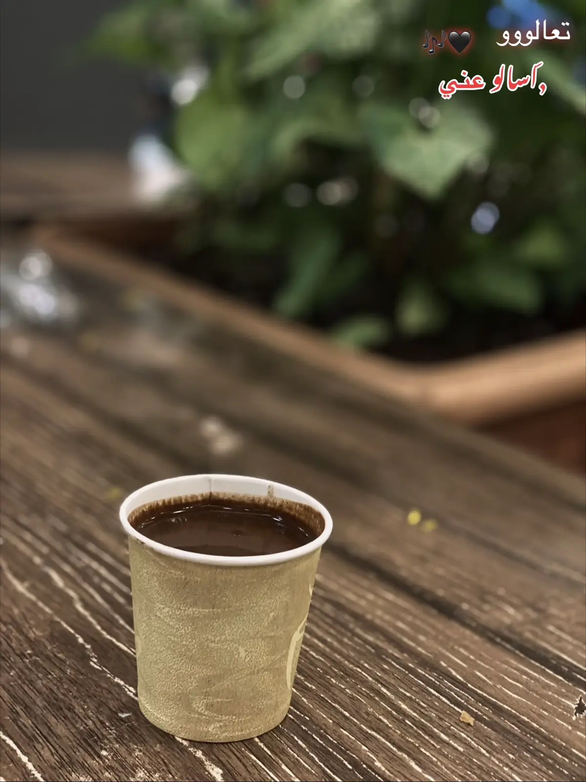 #fyp #3sham #الشعب_الصيني_ماله_حل😂😂 #كافيهات 