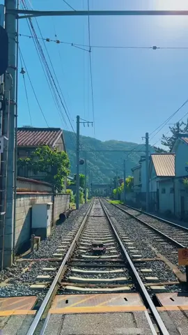 ⛩️🍃 #japan #tiktok #fyp  #aesthetic #travel 