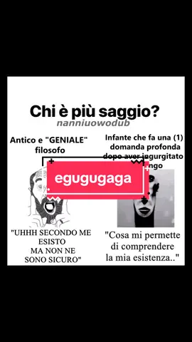 il pongo della saggezza credo (Meme di philosophy.shitpost su Instagram) #doppiaggio #memeita #fyp #filosofia 