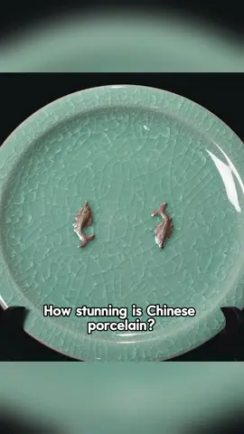 How magical are China’s famous porcelains?#china #porcelain #ceramics #fyp #tiktok 
