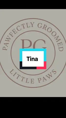 Tina looks beautiful on her full pamper today #pawfectlygroomedlittlepaws #Burybasedhomesalon #Artero #fyp 