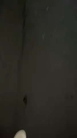 #fyp#masukberanda#xyzbc#foryu#tiktok