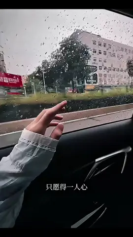 #愿得一人心 #好歌分享 #音乐分享 #伤感音乐 