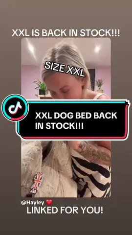 #fyp #tiktokshop #buntybeds #dogbed #dogs 