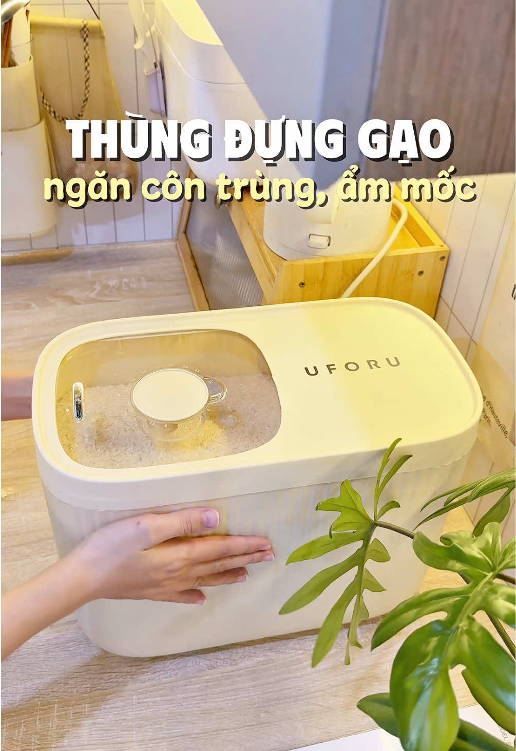 Thùng vừa ngăn ẩm mốc côn trùng vừa xinhhh nữa #thungdunggao #uforu #homemadeby_mia #canhosua