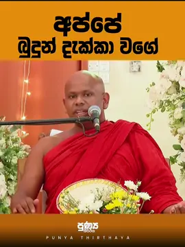 #creatorsearchinsights #walimadasaddaseela_thero #punyathirthaya #froyou #Love 