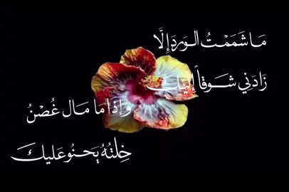 مَا شَمَمْتُ الوَرَدَ إِلَّا زَادَنِي شَوْقَاً إِلَيْك َ  وَ إِذَا مَا مَال غُصْن خِلْتُهُ يَحْنُو عَلَيْكَ - #حب #شعر #ادب #القصيدة #شوق 