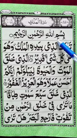 Beautiful Recitation Of Quran Surah Al-Mulk Complete Tilawat 🌎  #🖤 #quran #fyp #viral #foryoupage 