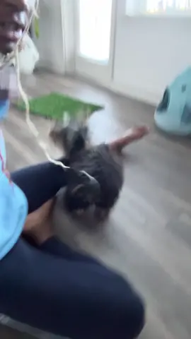 Behind closed doors she be abusing me #dogtok #dogsoftiktok 