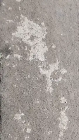 🫰#rxking #bandungstyle #twostroke 