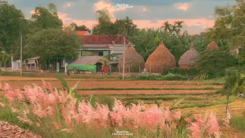 Tiếng cười đùa đầy hồn nhiên, vô tư của đám nhóc làng tôi là thứ mà cả năm bôn ba nơi xa vẫn không tìm thấy được... và hình như hình ảnh này chính là tôi ngày trước. Thời gian đã trôi qua không thế quay lại, tôi đã trưởng thành không thể thấy được nụ cười của ngày xưa - nụ cười của kẻ vô lo, chiến thắng trong những trò chơi vặt vãnh một thuở xa xưa!