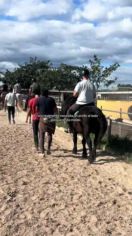 Alexis hay miedo jajajaja #clase #ciclomedio #fyp 