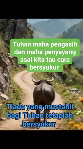 jangan lupa selalu bersyukur dan berdo'a #bersyukur #alhamdulillah #trending #fyppppppppppppppppppppppp 