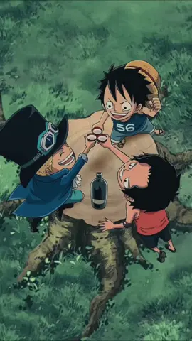 Mulai hari ini kita saudara #ace #soba #luffy #onepieceanime #fyppppppppppppppppppppppp 