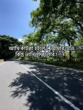 আমি কাইল্লা হইলেও, আমার হেতি কিন্তু ভ্যনিলা কালার.!#foryou #tiktok #trending 