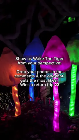 Get involved! Let’s see who took the best pic 👉📸