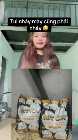 #PetsofDyson #xuhuongtiktok Nuôi mèo bằng hạt bấm vào giỏ hàng em có nha 😇