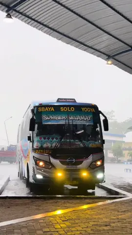 lumba-lumba sedang bermain air 🐬 #sugengrahayu #sumbergroup #fyp #xybca #masukberanda 
