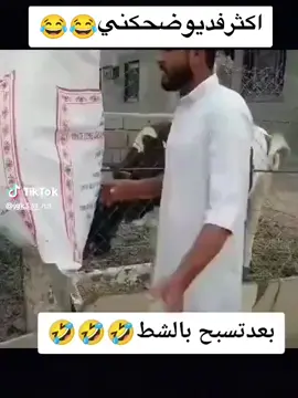 #شعب_الصيني_ماله_حل😂😂 #شعب_الصيني_ماله_حل😂😂 #شعب_الصيني_ماله_حل😂😂 