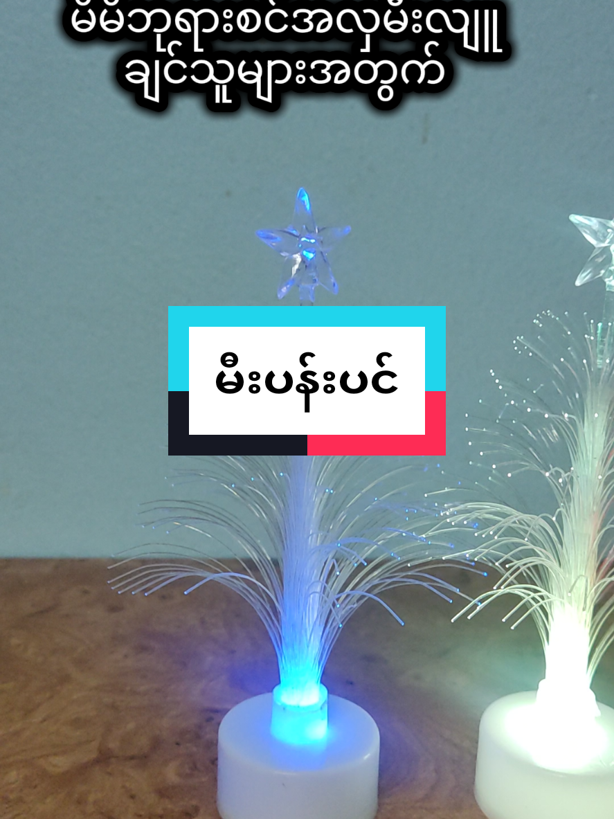 #creatorsearchinsights #ဘုရားလျူအလှမီးပန်းပင်#khaingoo053 #tiktokshop 
