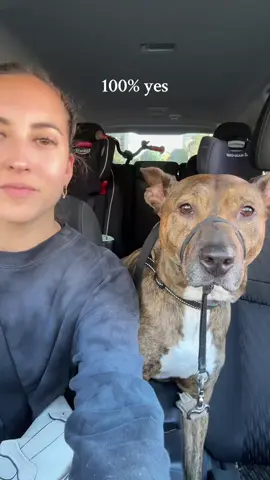 Quiet time in the car is peace ✌🏼 (PS- that’s not a muzzle, it’s a gentle lead for when we walk her) #momcontent #momcontentcreator #relatablemom #momtruths #roadto5k 