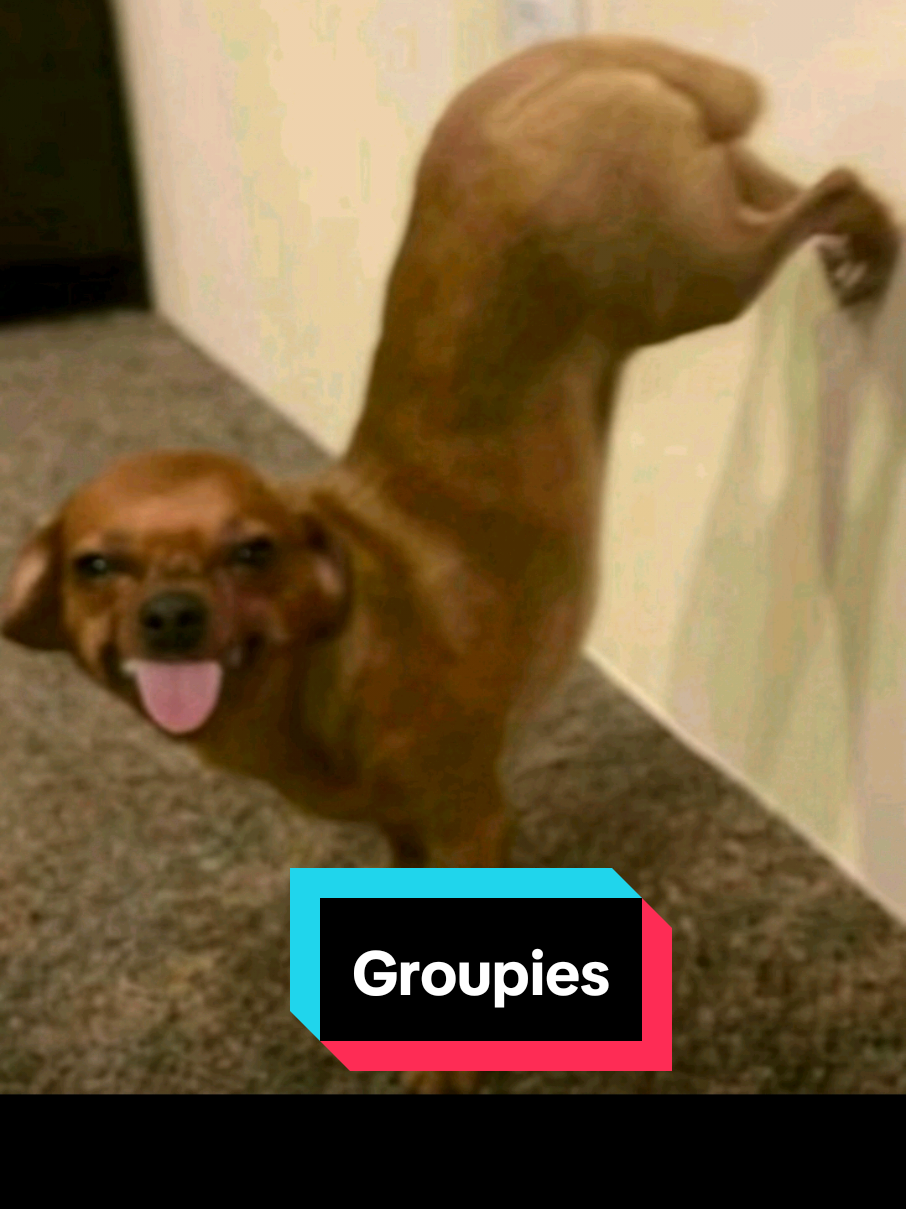 Idk if just wanna see something  #group7 