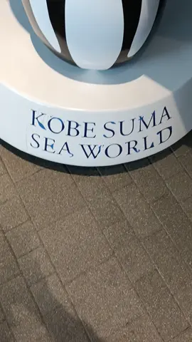 前回間違えたショーの案内してしまいすみませんでした！#秋のお出かけキャンペーン1 #TIKTOKGO #PR #須磨シーワールド 