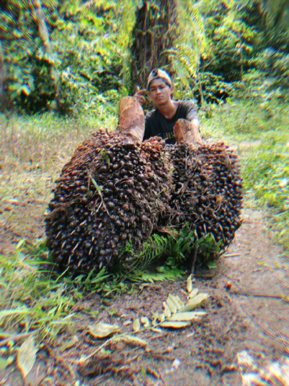 berapa kilo ya 😋#muatsawit💪💪💪 #pemuatsawit 