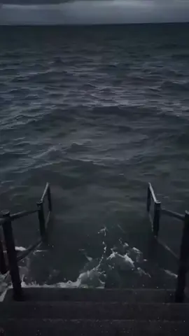 #memes #funny #trend #meme_on_mars 