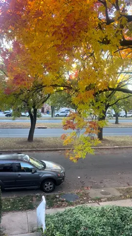 #goodmorning #goodday #eritreantiktok🇪🇷🇪🇷habesha #habeshatiktok 