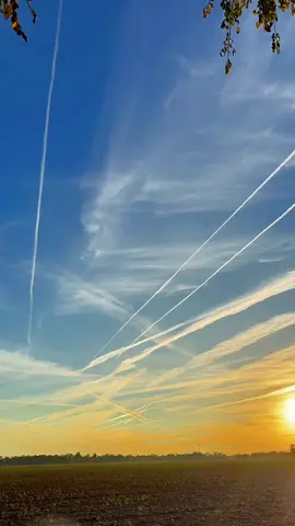 I don’t what jets were out flying this morning but damn it was cool to see with the sunrise! #sunrise #beauty 