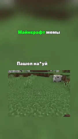 Майнкрафт мемы#мемы #майнкрафт 