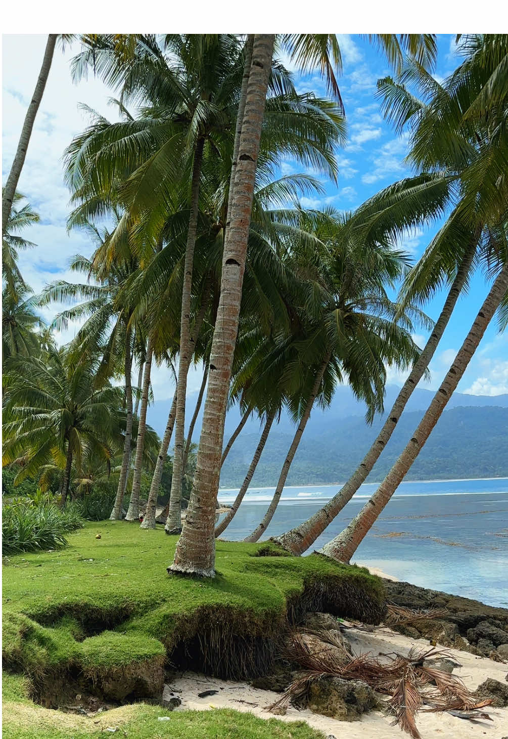 Pantai di pesisir barat gaada yg gagal 🌴🍃☺️ #pesisirbarat #krui #kruipesisirbaratlampung #fypシ゚ #pantaikrui 