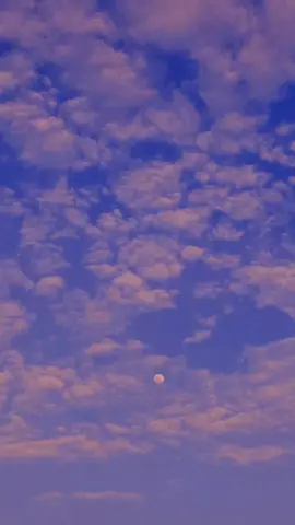 ga nemu musik yang pas 😕 #fyp #4u #sunsetsawah #senja #langitaesthetic 