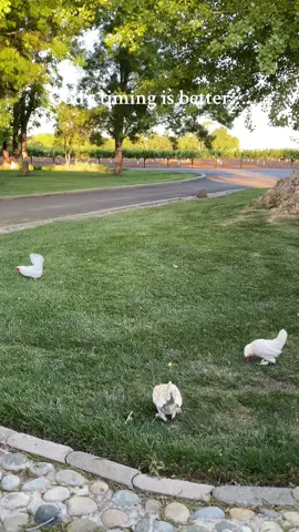 God‘s timing is perfect. #Patience #Trust #Love #God #Timing 