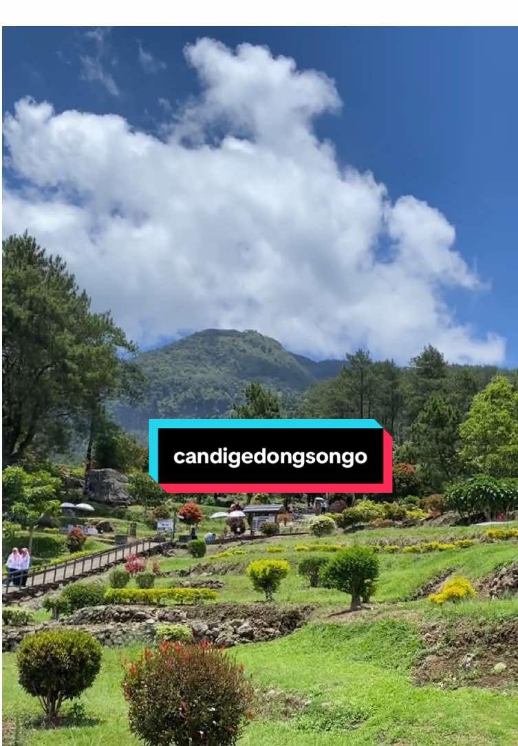 seindah ini,kalian ga kesini?😦 #candigedongsongo #semarang #foryou 