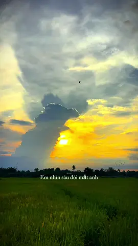 Anh đã làm tốt lắm rồi.. lúc mưa hết cầu vồng sẽ tới.?#tamtrang #nhactamtrang #nhachaymoingay #xuhuong #viralvideo 