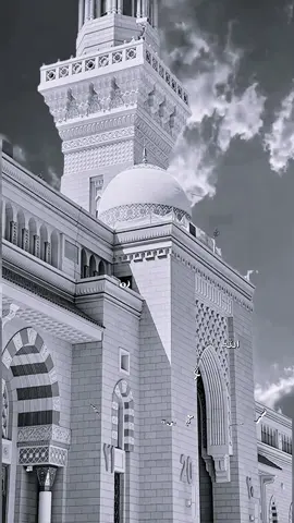 #يامن_تحبون_النبي_صلو_عليه💬🍂 #اللهم_صلي_على_نبينا_محمد💓🕋📿❤🥰 #وأفرش_بساط_الحب_حب_محمد #ان_الله_وملائكته_يصلون_على_النبي_🕋❤🕌 #صلوات_الله_عليك_يا_حبيبي_يا_رسول_الله💚💚 #فاح_العبير_بذكر_احمد_وانبرا #صلوا_عليه_وسلموا_تسليما #نبراس_هذا_الكون_منبع_نوره #وابشر_ففي_الخبر_الصحيح_تقررا #الجمعه_الصلاة_على_النبي_سورة_الكهف🌱 #الصلاة_والسلام_عليك_ياحبيبي_يارسول_الله #صلو_على_النبي_صلى_الله_عليه_وسلم #يتيم_له_القلب_الذي_فاض_رحمة #صلى_عليك_الله_يامن_ذكره_شرح_الصدور_وطيب_الافاق #اذكار_المساء_صلوا_علي_نبينا_محمد #لوكنت_طيرا_طار_فوق_خياله #ان_الله_وملائكته_يصلون_على_النبي_ #ألف_الصلاة_والسلام_عليك_ياحبيب_الله_محمد #ماذا_اقول_وددت_البحر_قافيتي #ربي_صلي_وسلم_وبارك_على_محمد