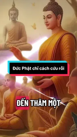 Nếu đức Phật ghé thăm ngài sẽ nói gì? #phatphapnhiemmau🙏🙏🙏 #adidaphat #tutap #chanhniem #buongbo 