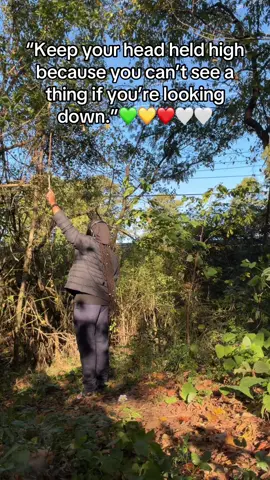 #w🦁w #haitianrasta💚💛❤️ #revolution✊🏿💯🇭🇹 ##revolution⚫️🔴💪🏿💯 #jahsoldier❤️💛💚 