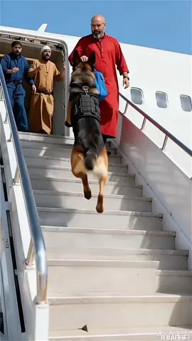 Dogs funny video 🤣📸🇺🇸#faryou #entertainment #ai #viralvideo #faryou 