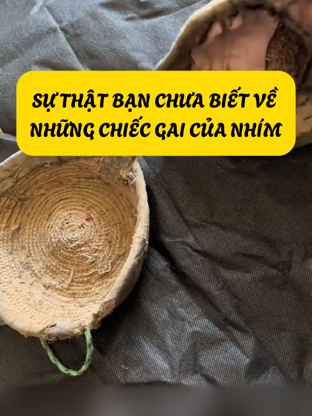 Bạn Có Biết Những Vật Dụng Cổ Sau Đây Không? #cothebanchuabiet #khampha #kienthuc