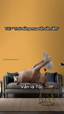 Được mua cho là cười cả ngày 👉 @Thế hệ cợt nhả #memes #kozyfashion 