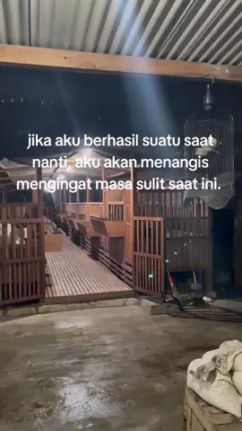 izinkan aku sukses diatas keraguanku ya allah ✊🏻😇#bosmuda #peternakmuda #peternakindonesia #katakatamotivasi #fyp 