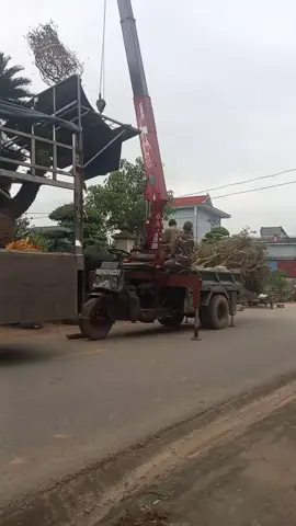 nghĩ cũng hay hay,  ghép tý hình ảnh cho đẹp.  Chúc cả nhà buổi tối vv bên gd nhé 