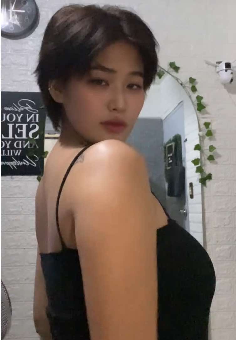 Lakas ng topak#fy #juri #asian #shorthair 