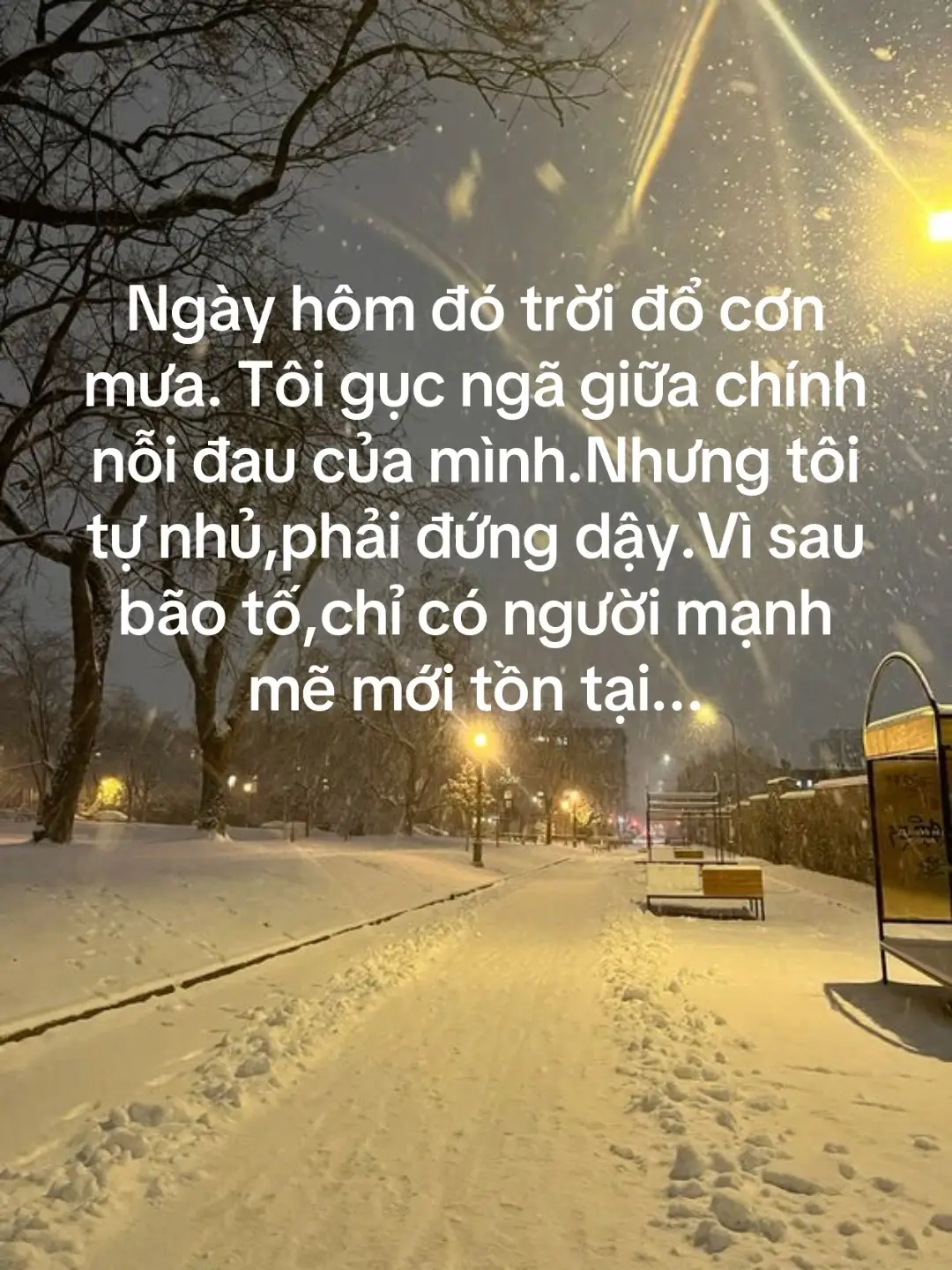 lieu co xh?
